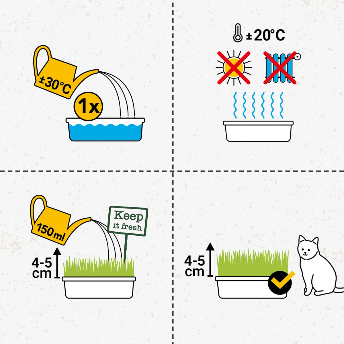 gimcat-hydro-gras-katzengras-schale-150-g image 5