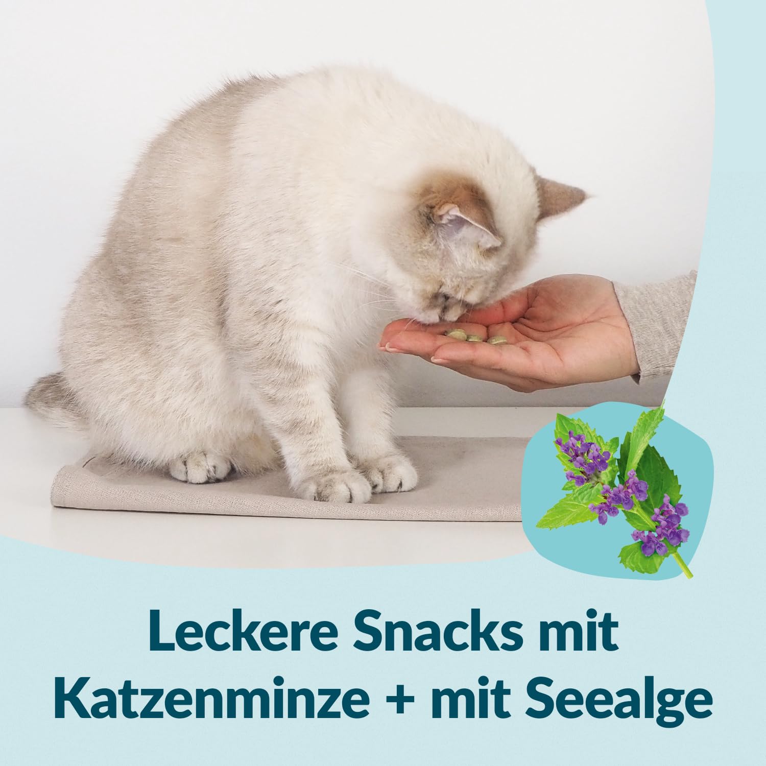 gimcat-nutri-dental-bites-katzensnack-425-g image 4
