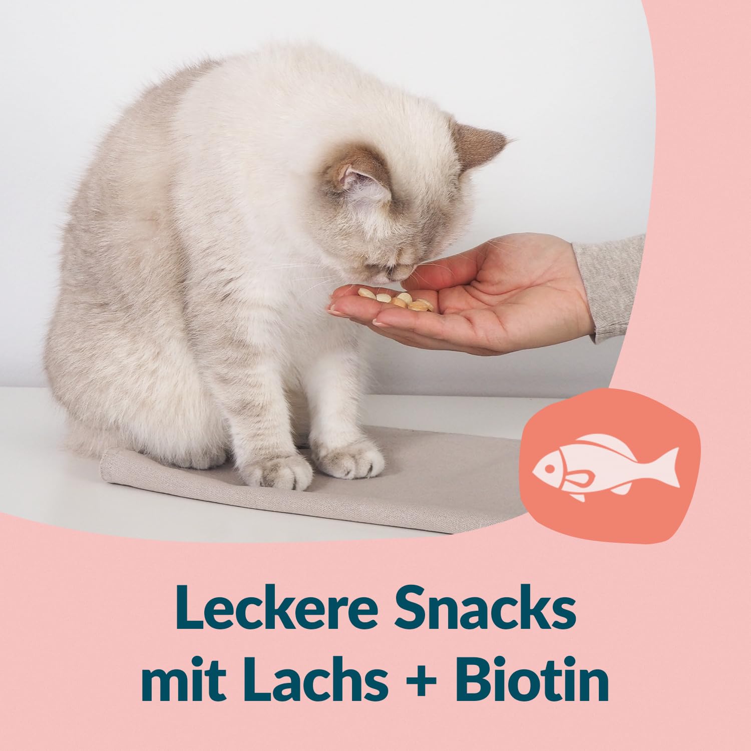 gimcat-nutri-biotin-bites-katzensnack-425-g image 4
