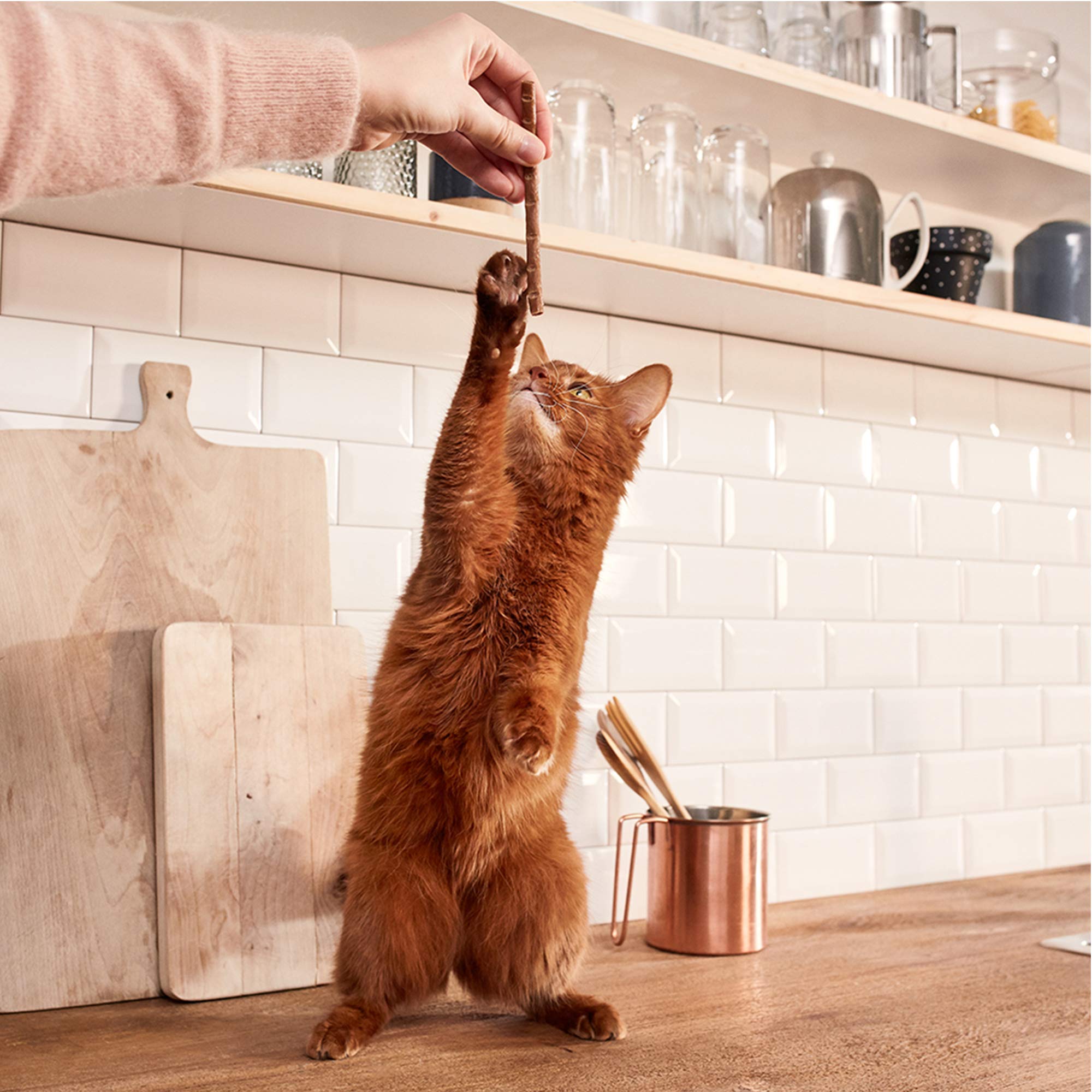 gimcat-superfood-duo-sticks-lachs-mango-kausnack-24-x-3-sticks image 4