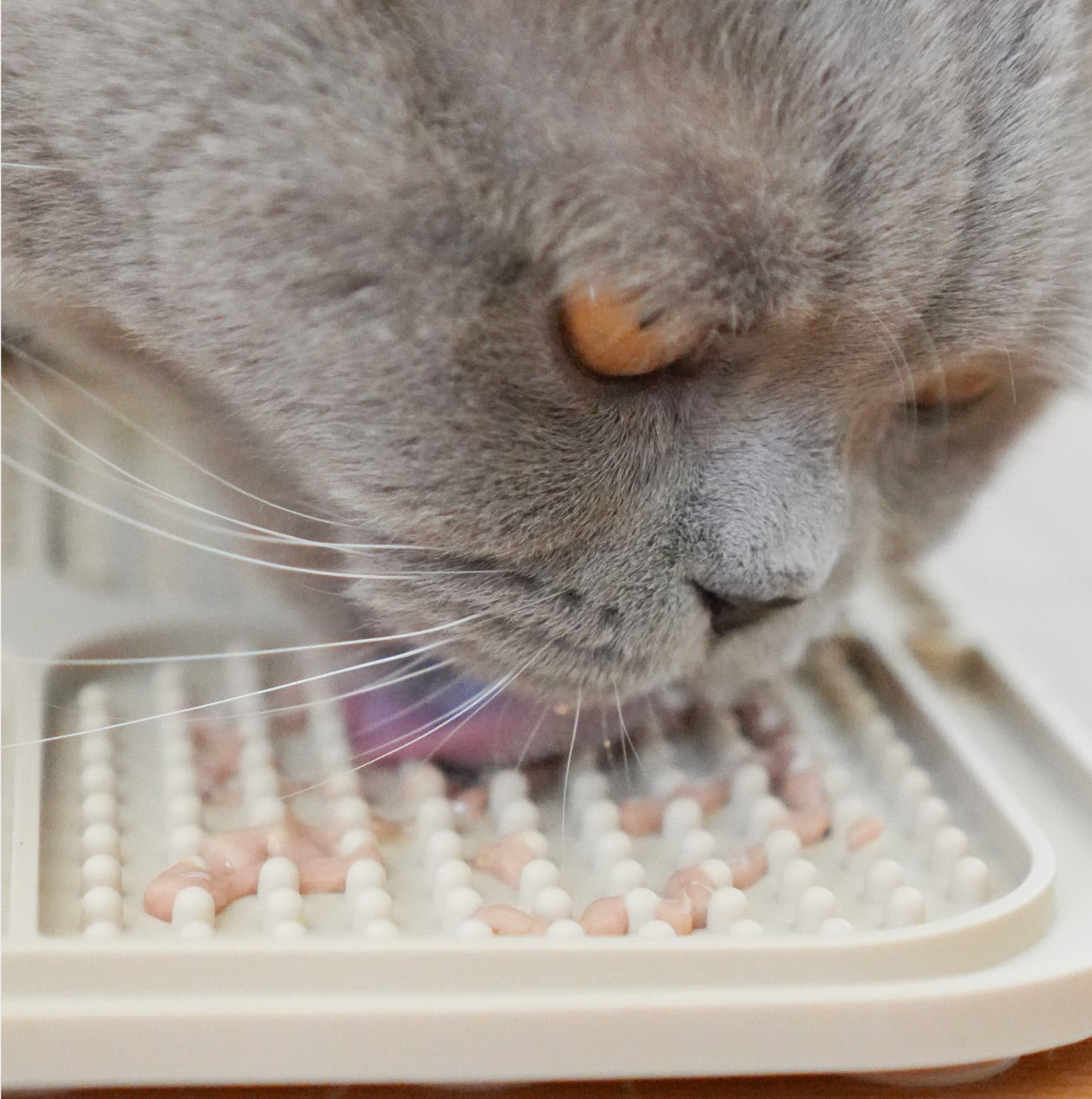 leo-l-wenkatz-2-schleckmatten-mit-spatel-und-b-rste image 4