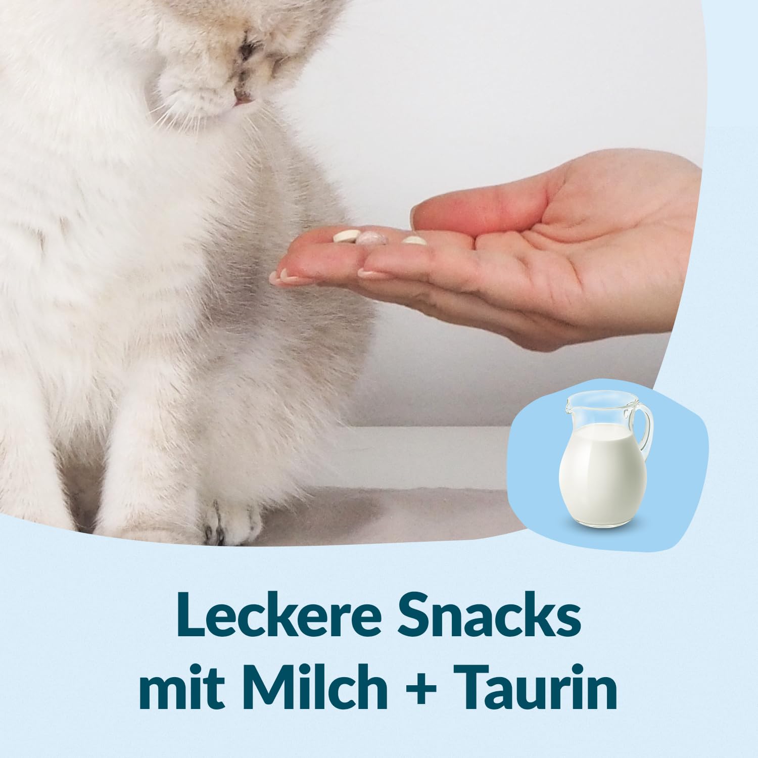 gimcat-nutri-kitten-bites-katzensnack-40-g image 4
