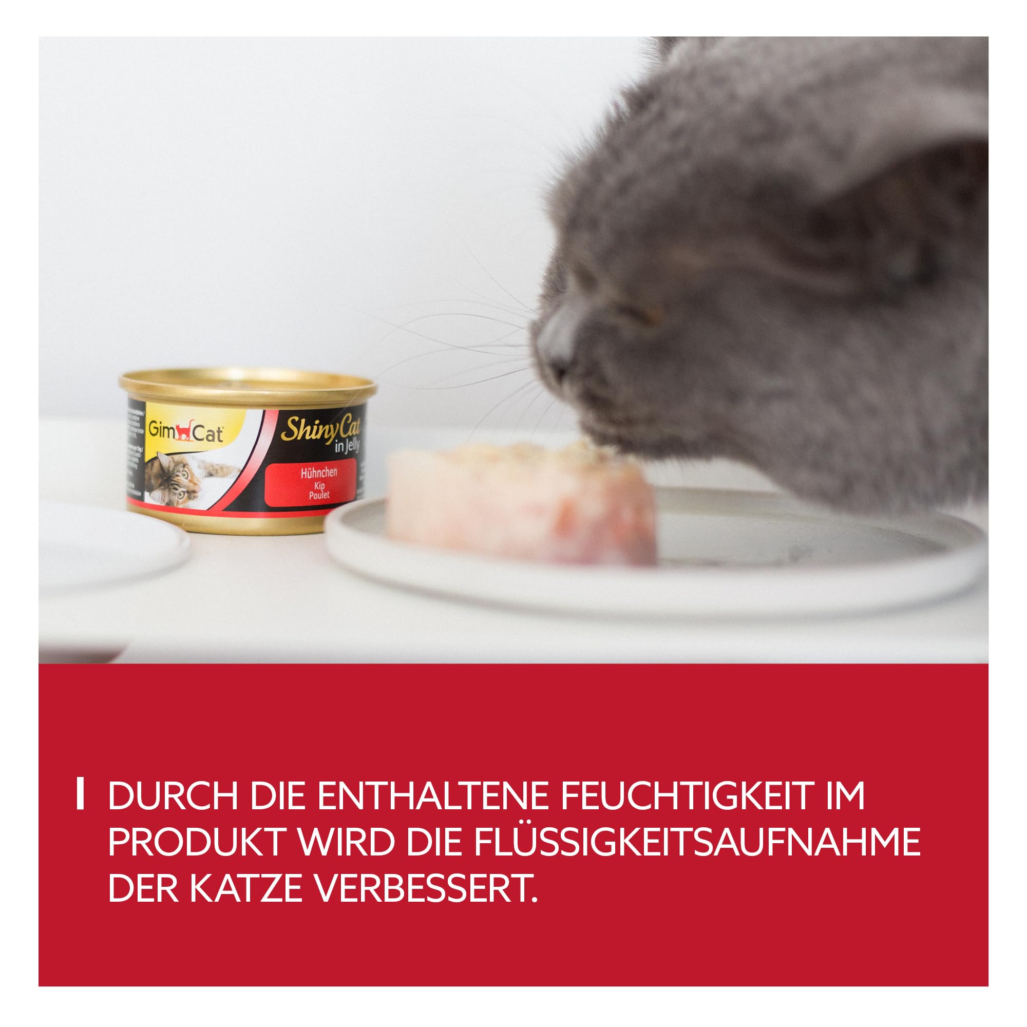 gimcat-shinycat-in-jelly-h-hnchen-48-x-70g-nassfutter image 3