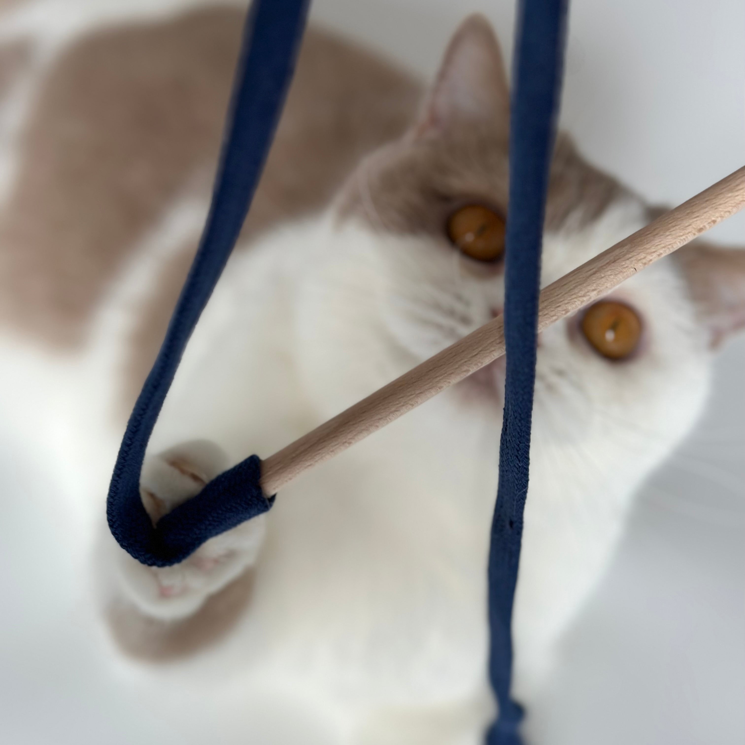 kater-kasimir-rangelangel-dunkelblau-katzenangel-aus-buche image 2