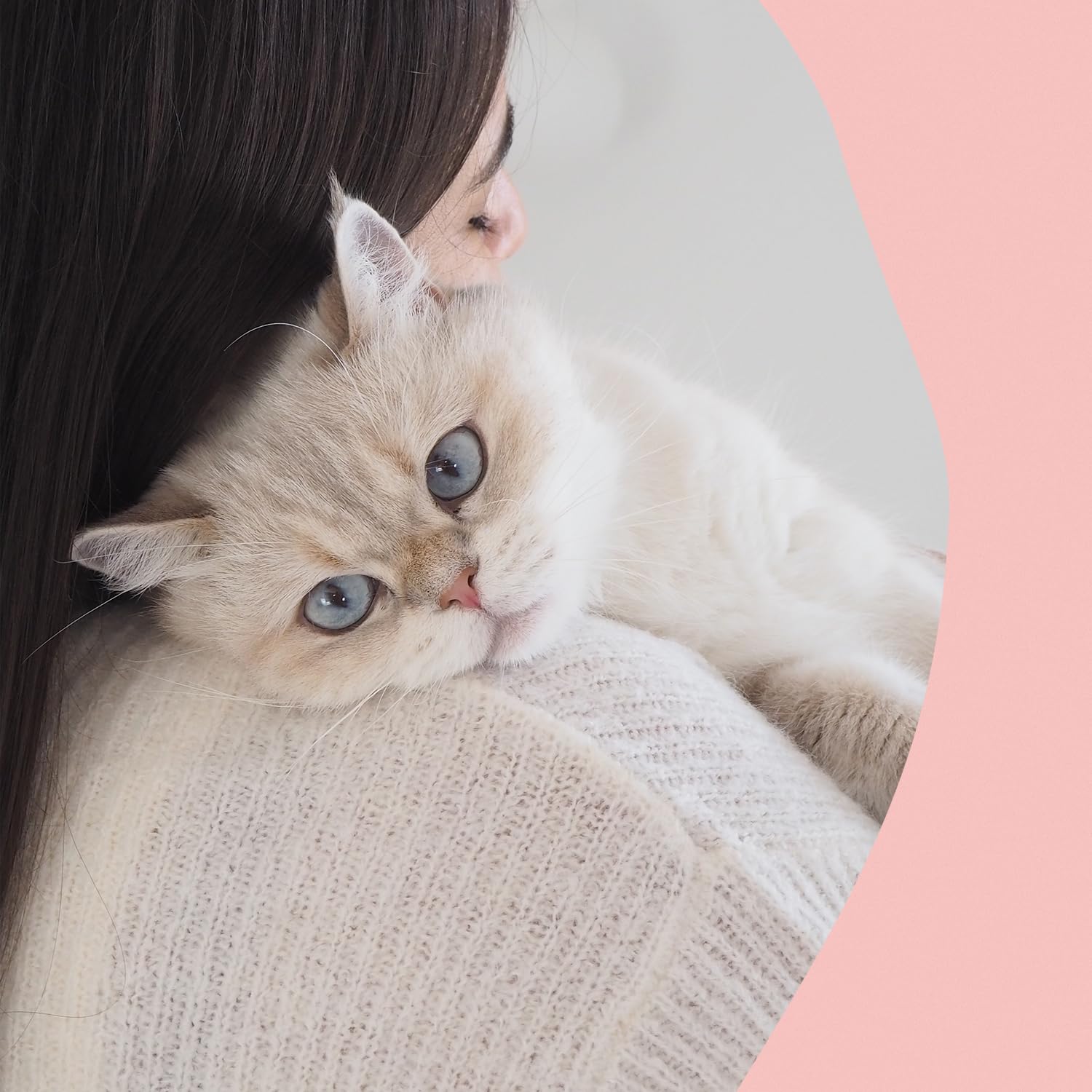 gimcat-nutri-biotin-bites-katzensnack-425-g image 5