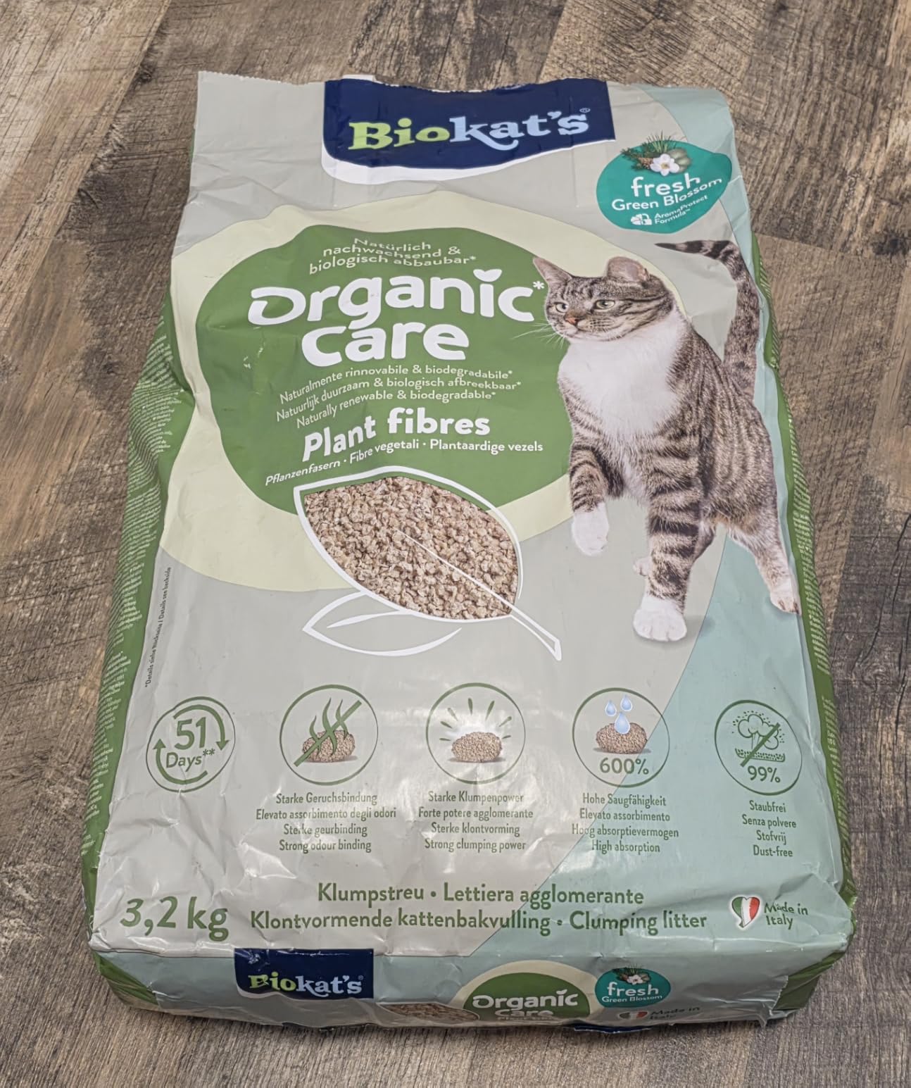Zwei Katzen, kein Problem