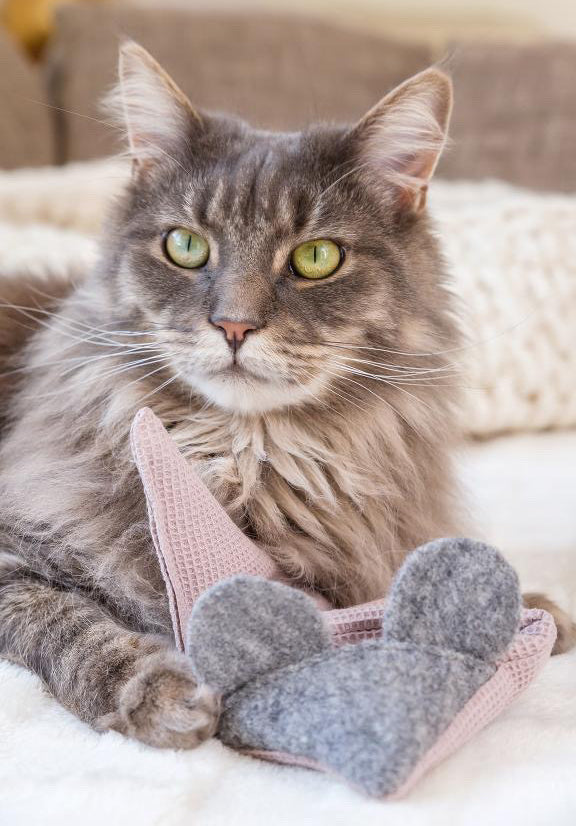 kater-kasimir-mausbert-mit-bio-baldrian-2-in-1-spielkissen-und-spielmaus image 2